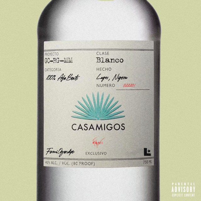 Casamigos cover