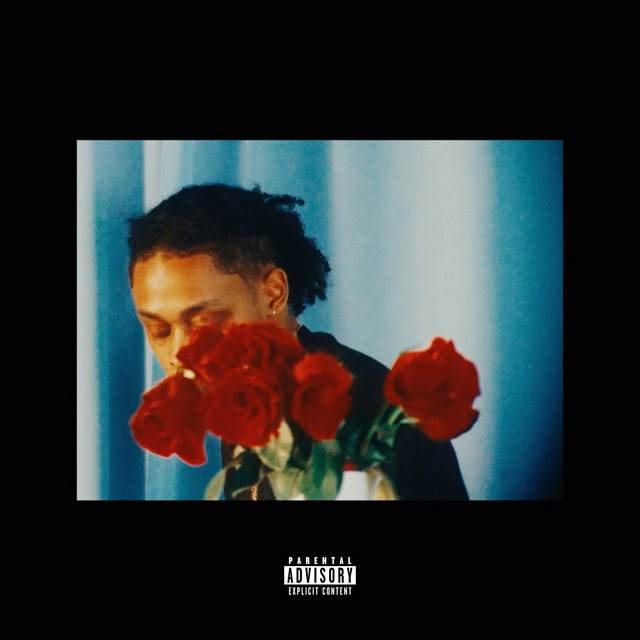 SALUTE cover